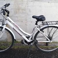 bici tipo olanda 26 carnielli 