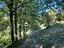 Immagine 15
