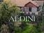 Immagine 23