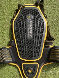 Paraschiena