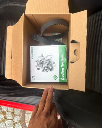 Kit distribuzione Ford Fiesta benzina
