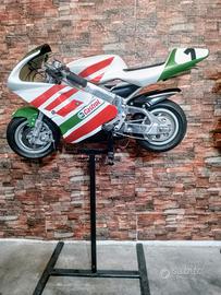 Minimoto GRC