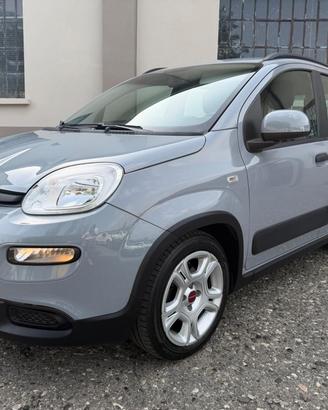 FIAT New Panda IN PROMOZIONE!!!!!1.0 FireFly S&S