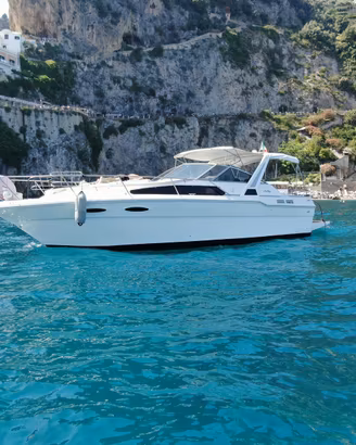 Sea ray 300