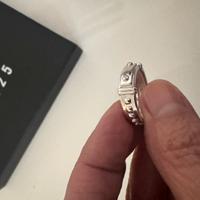 Anello argento collare cane