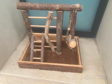 Trespolo palestrina uccelli