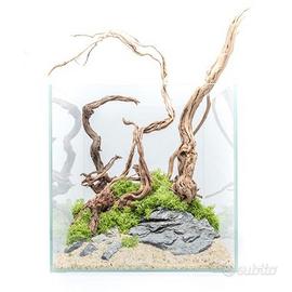 Acquario 135 litri nuovo con pesci