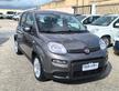 Fiat Panda 1.0 FireFly S&S Hybrid 2023