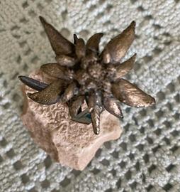 Stella alpina in metallo argentato