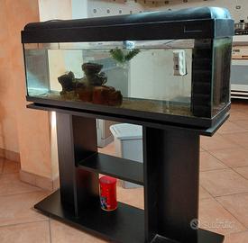 Acquario 100litri
