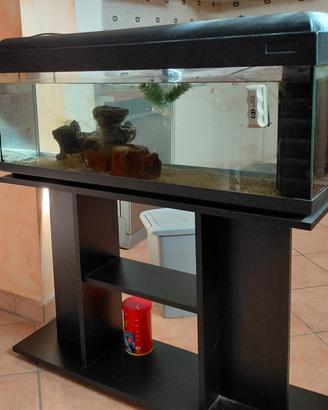 Acquario 100litri