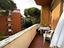 Immagine 12