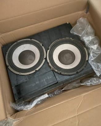Cassa subwoofer due 25 speaker