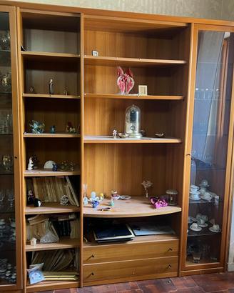Libreria con Doppie Vetrine