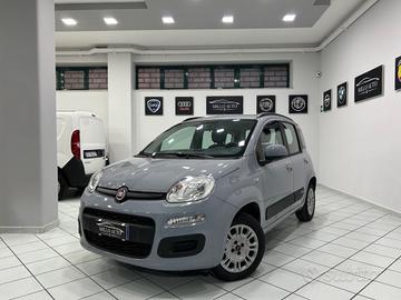 Fiat Panda 1.2cc 69cv Lounge UNICO PROPRIETARIO