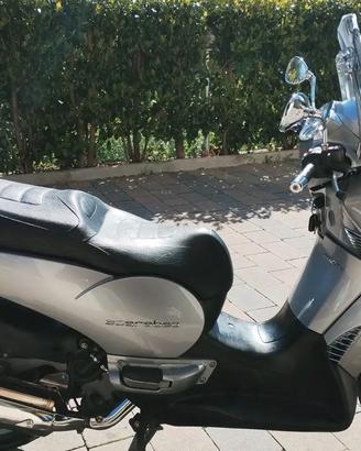 Aprilia Scarabeo 500 - 2010
