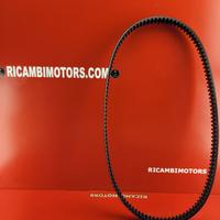 CINGHIA HARLEY DAVIDSON SOFTAIL