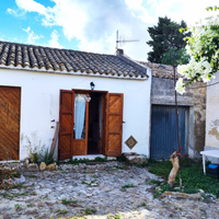 Monolocale nel verde