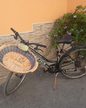 Bici FREJUS donna 28"