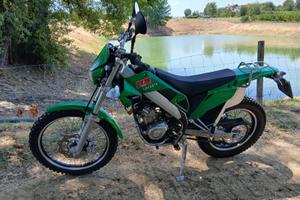 Moto HM Locusta