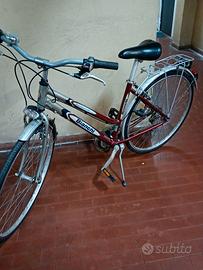 Bianchi Spillo 