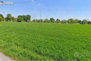Terreno agricolo a Monte San Vito