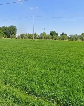 Terreno agricolo a Monte San Vito