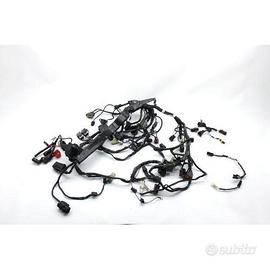 CABLAGGIO IMPIANTO ELETTRICO TRIUMPH STREET TRIPLE