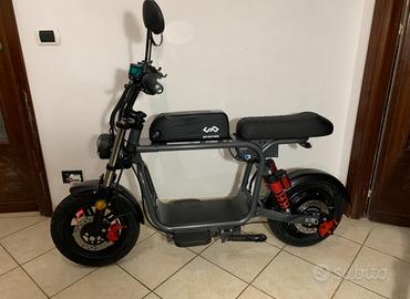 Ebike mini cafe racer doppia batteria