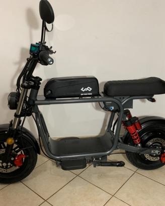 Ebike mini cafe racer doppia batteria