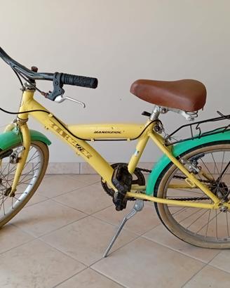 biciclette varie