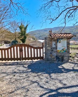 Intera proprietà e attività annessa