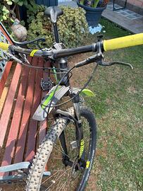 Bicicletta Mtb