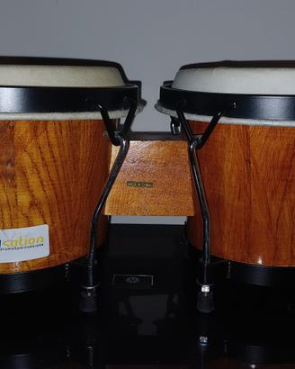 Tamburi a mano / Bonghi percussioni