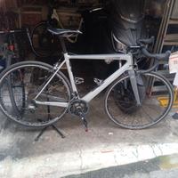 Edelsten Stingray  carbonio 2020