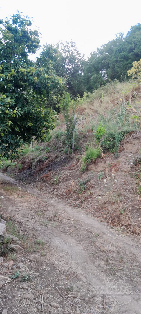 Terreno agricolo - View 6