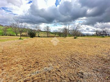 TER. AGRICOLO A NARNI