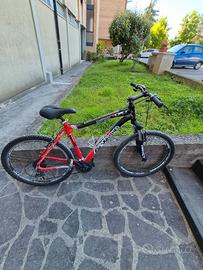 Bici MTB e Touring