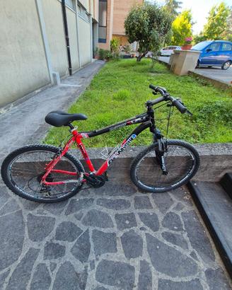 Bici MTB e Touring