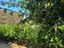 Immagine 29
