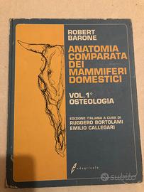 Anatomia Comparata Dei Mammiferi Domestici Barone
