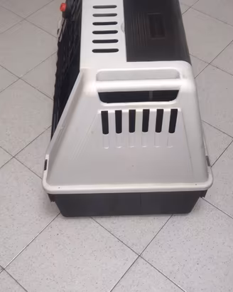 Kennel