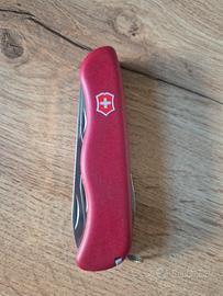 Victorinox Forest 