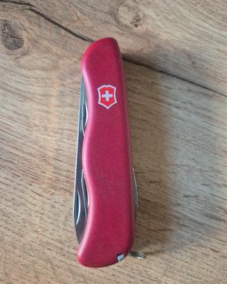 Victorinox Forest 