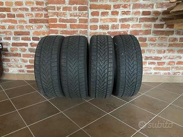 Gomme invernali 225/60R17 99 H