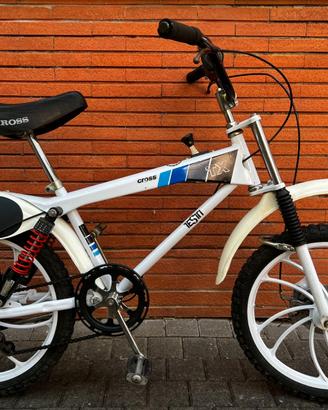 Testi Cross TX (Saltafoss competitor)