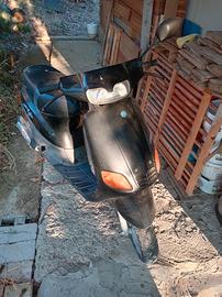 Scooter Zip