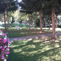 Limone weekend settimane si animali posto auto