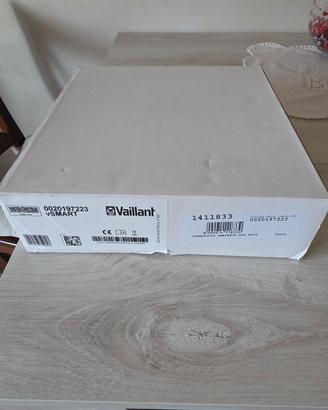vs smart vaillant