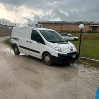 Pegeout expert frigorifero